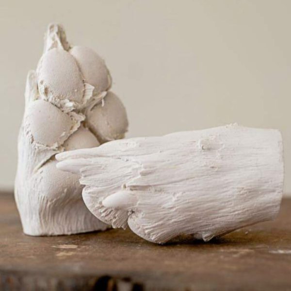 Freestanding 3D paw castings