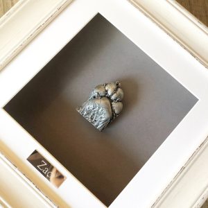 One 3D paw casting framed