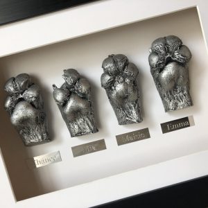 Two 3D paw castings framed