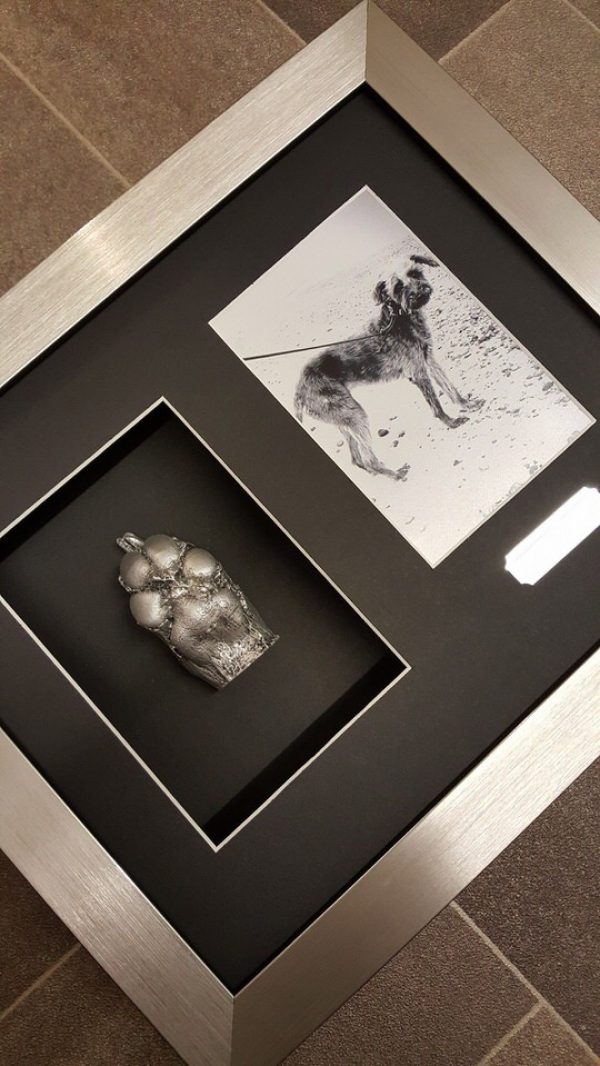 One paw casting with photo