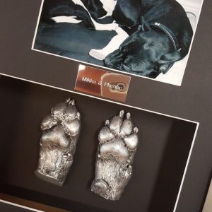 Two 3D paw castings with photo